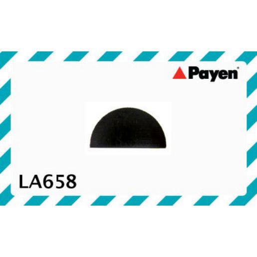 Payen Camshaft Oil Seal LA658