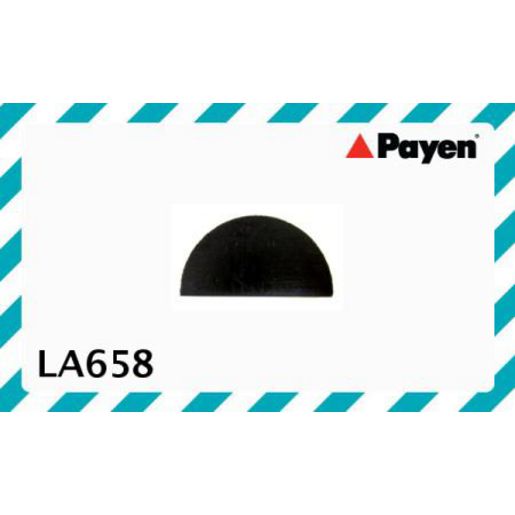 Payen Camshaft Oil Seal LA658