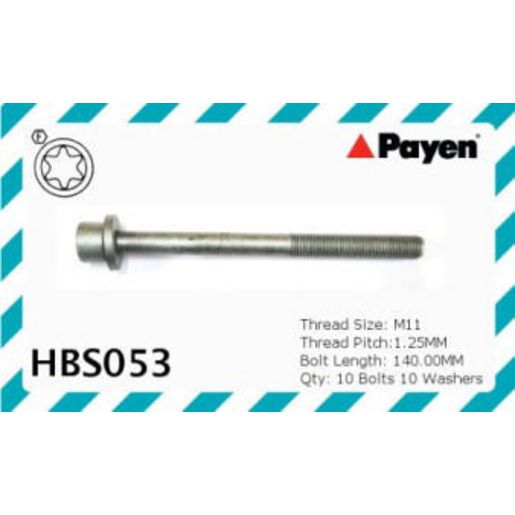 Payen Cylinder Head Bolt Set HBS053