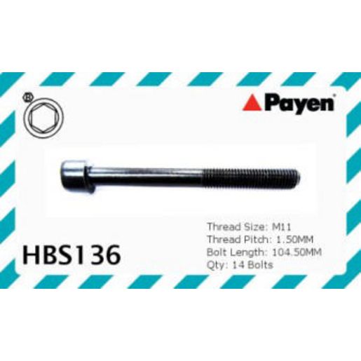 Payen Bolt Set-Cylinder Head HBS136
