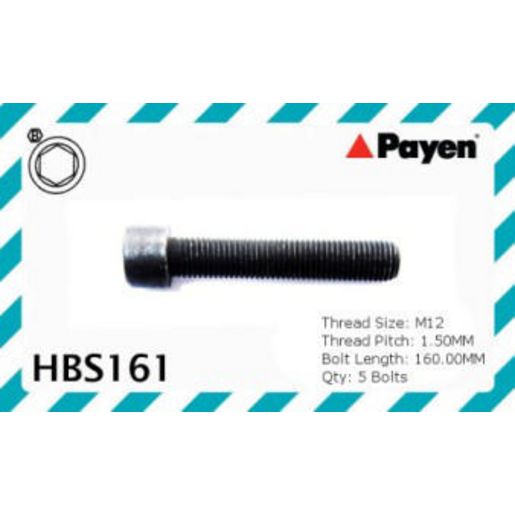 Payen Cylinder Head Bolt Set HBS161
