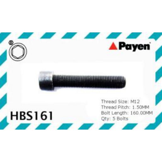 Payen Cylinder Head Bolt Set HBS161