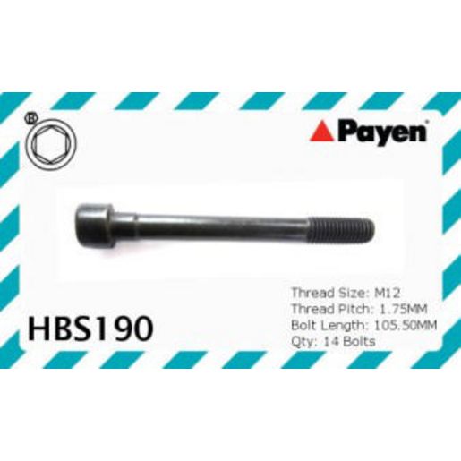 Payen Bolt Set-Cylinder Head HBS190