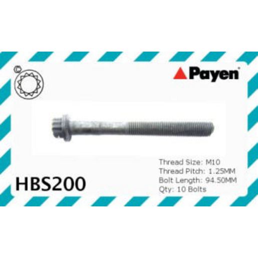 Payen Cylinder Head Bolt Set HBS200