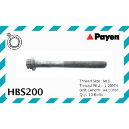 Payen Cylinder Head Bolt Set HBS200