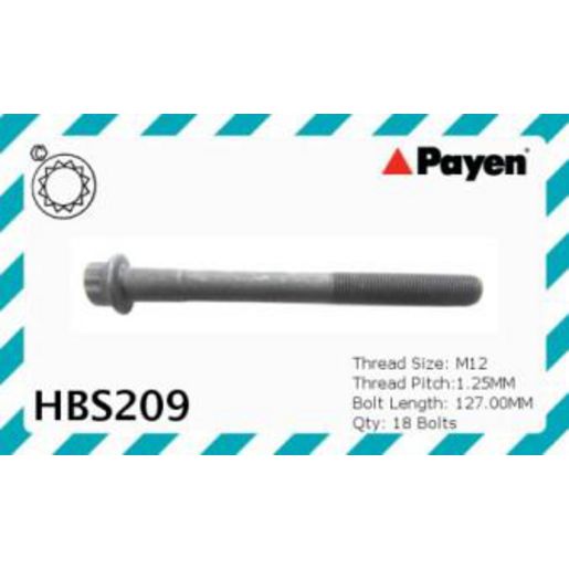 Payen Bolt Set-Cylinder Head HBS209
