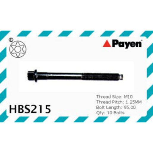 Payen Cylinder Head Bolt Set HBS215