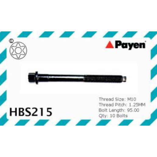 Payen Cylinder Head Bolt Set HBS215