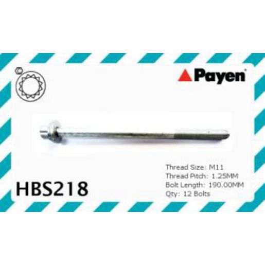 Payen Bolt Set-Cylinder Head HBS218