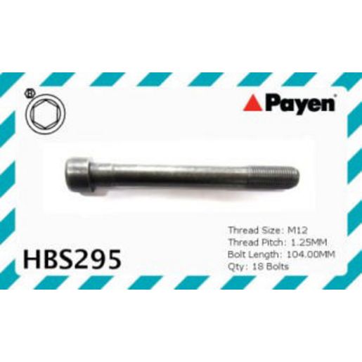 Payen Permaseal Head Bolt Set HBS295