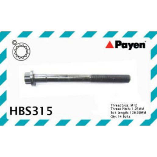 Payen Cylinder Head Bolt Set HBS315