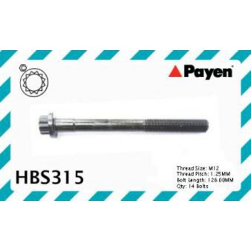 Payen Cylinder Head Bolt Set HBS315