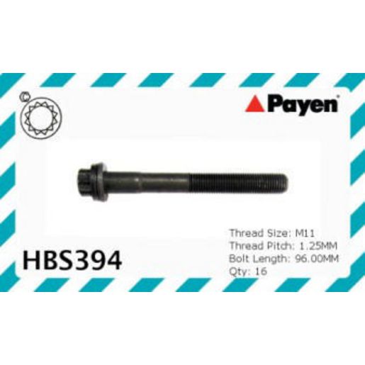 Payen Cylinder Head Bolt Set HBS394