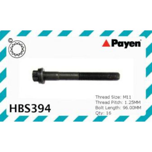Payen Cylinder Head Bolt Set HBS394