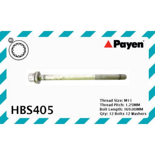 Payen Cylinder Head Bolt Set HBS405