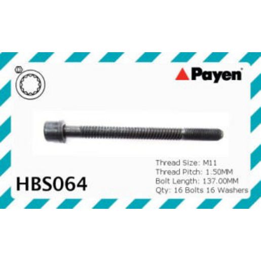 Payen Acl Head Bolt Set HBS064