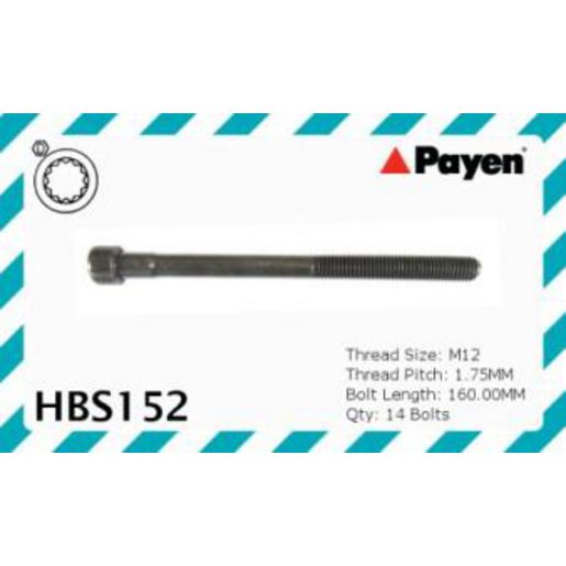 Payen Bolt Set-Cylinder Head HBS152