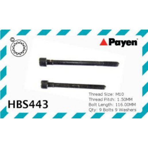 Payen Bolt Set-Cylinder Head HBS443