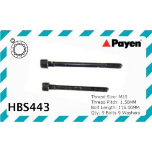 Payen Bolt Set-Cylinder Head HBS443