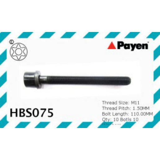 Payen Bolt Set-Cylinder Head HBS075