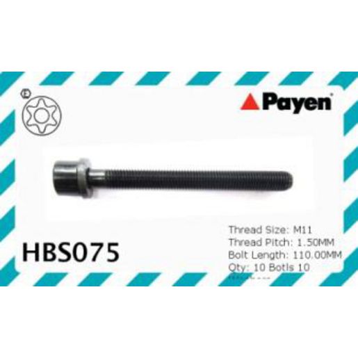Payen Bolt Set-Cylinder Head HBS075