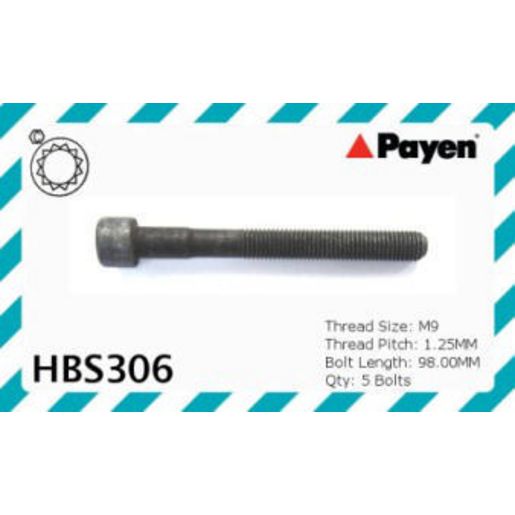 Payen Bolt Set-Cylinder Head HBS306