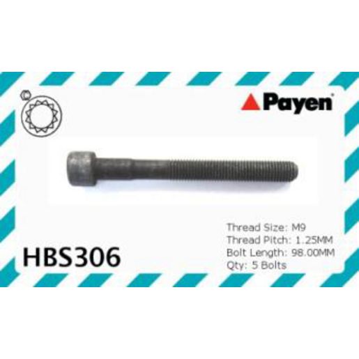 Payen Bolt Set-Cylinder Head HBS306