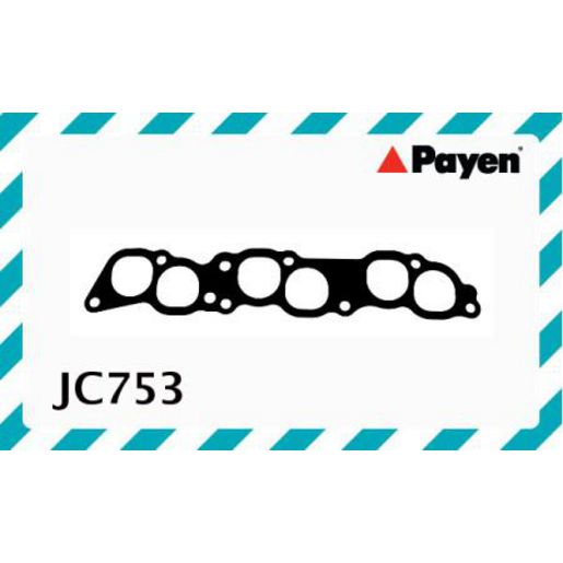 Payen Manifold Gasket JC753