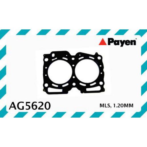 Payen Cylinder Head Gasket AG5620