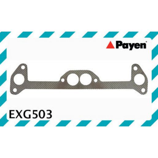 Payen Manifold Gasket EXG503