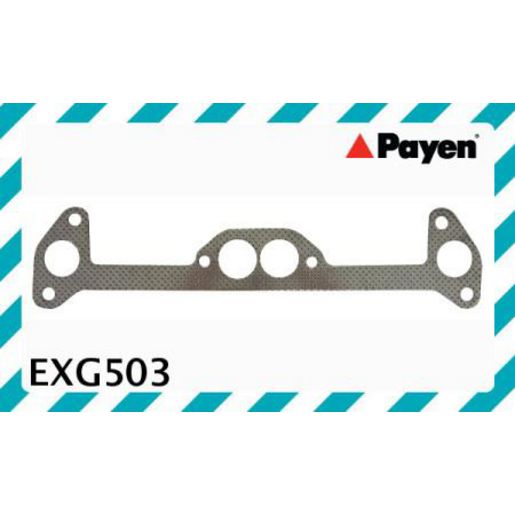 Payen Manifold Gasket EXG503
