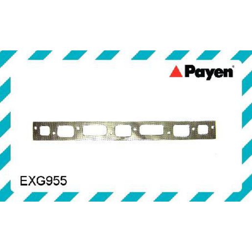 Payen Manifold Gasket EXG955