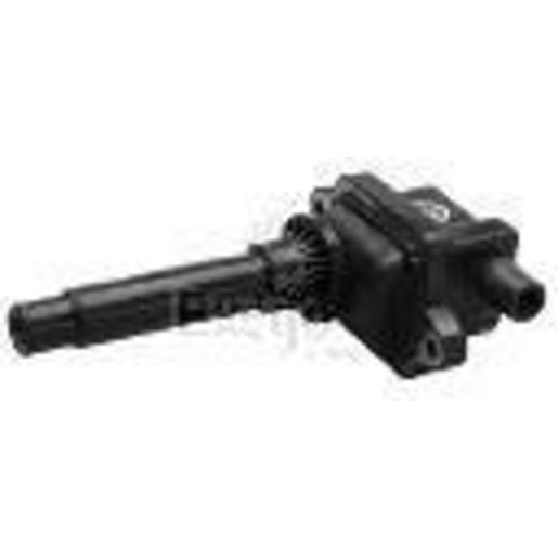 Goss Ignition Coil C247