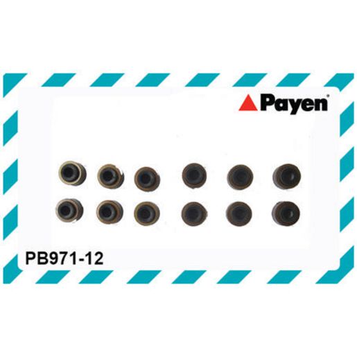 Payen Seal Set-Valve Stem PB971-12
