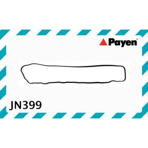 Payen Valve Cover Gasket JN399