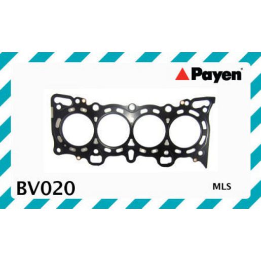 Payen Head Gasket BV020
