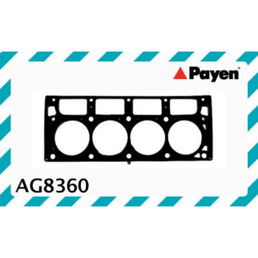 Payen Cylinder Head Gasket AG8360