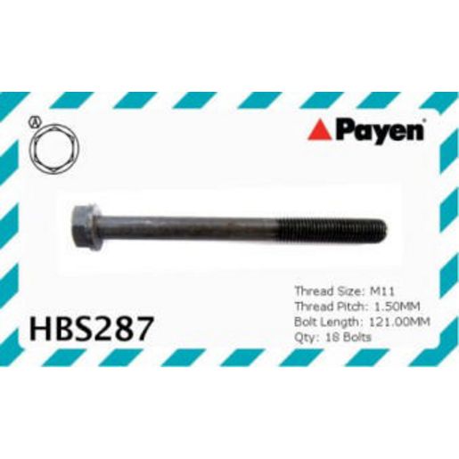 Payen Bolt Set-Cylinder Head HBS287