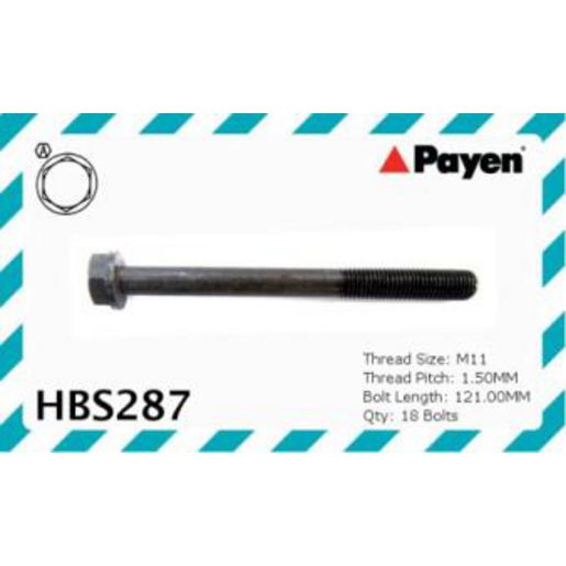Payen Bolt Set-Cylinder Head HBS287