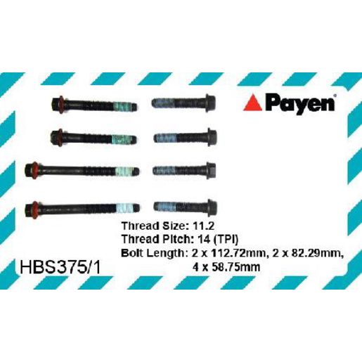 Payen Cylinder Head Bolt Set HBS375/1