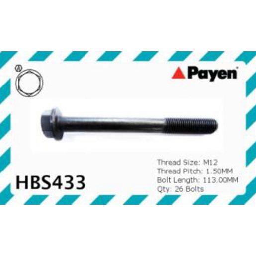 Payen Cylinder Head Bolt Set HBS433