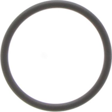 Dayco Thermostat Seal DTG27