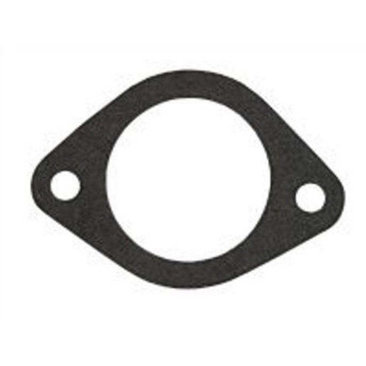 Dayco Thermostat Seal DTG44