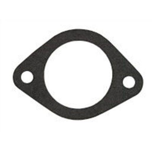 Dayco Thermostat Seal DTG44