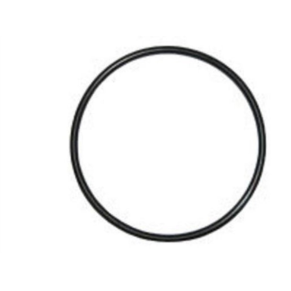 Dayco Thermostat Seal DTG78