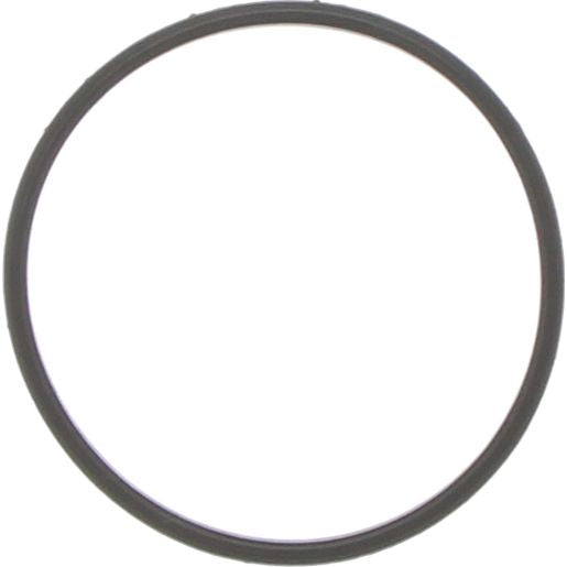 Dayco Thermostat Seal DTG80
