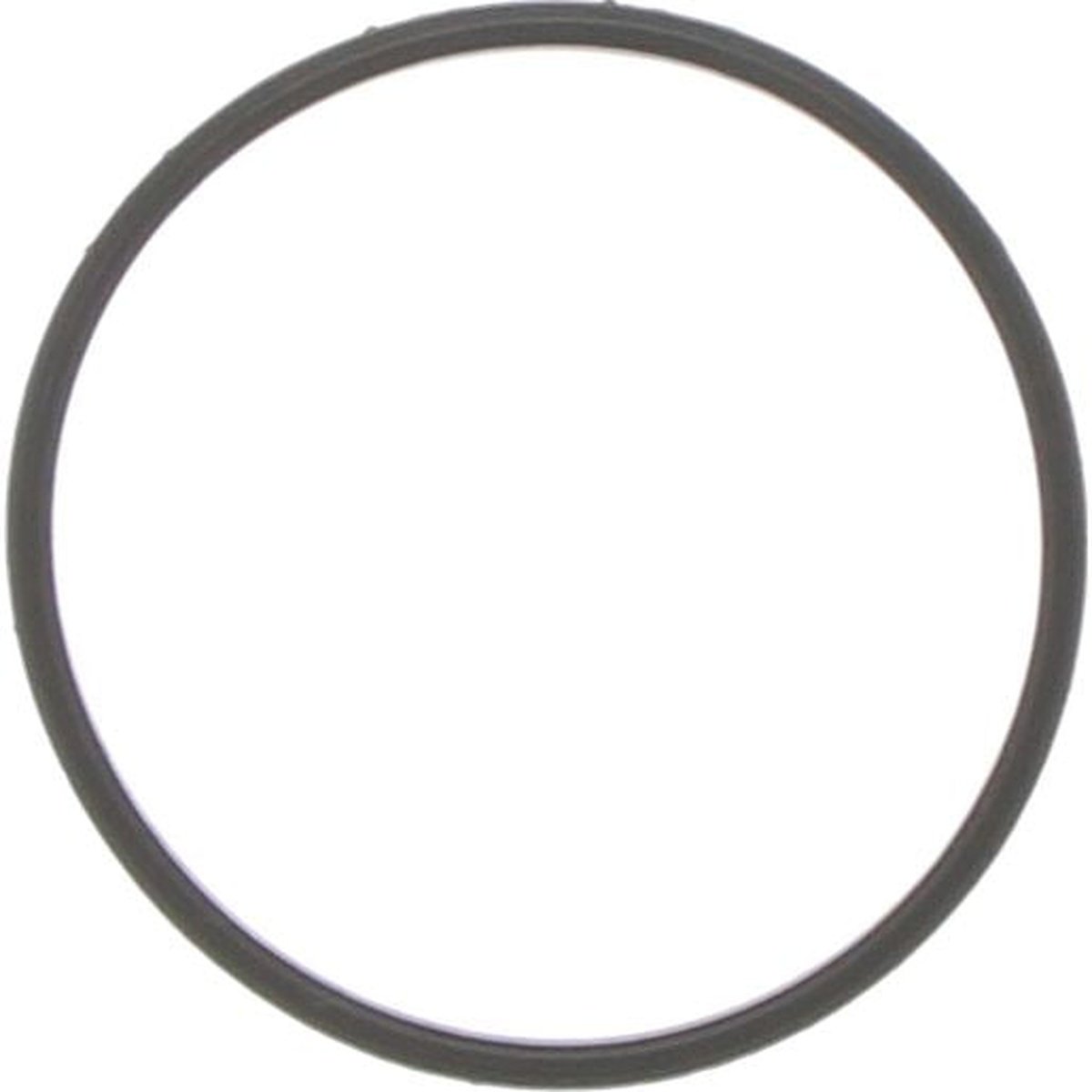 Dayco Thermostat Seal DTG80