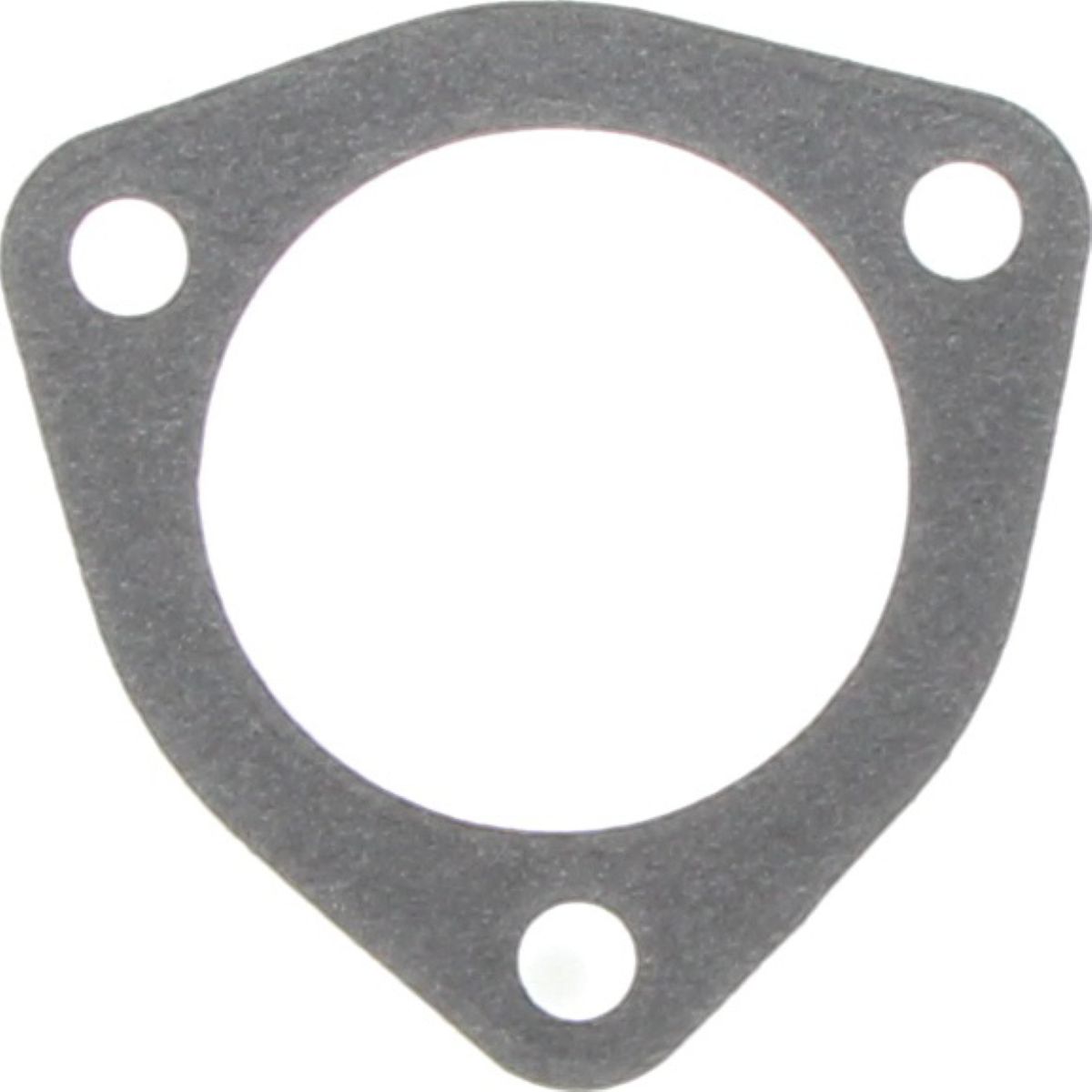 Dayco Thermostat Seal DTG87