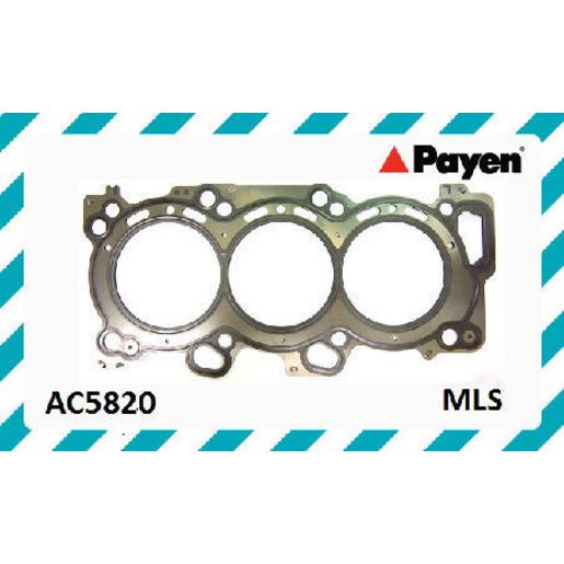Payen Cylinder Head Gasket AC5820