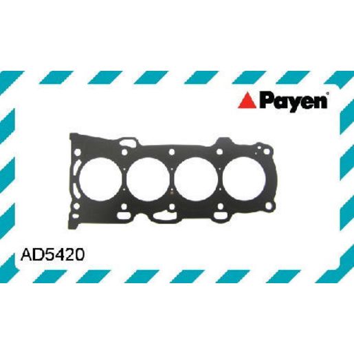 Payen Cylinder Head Gasket AD5420